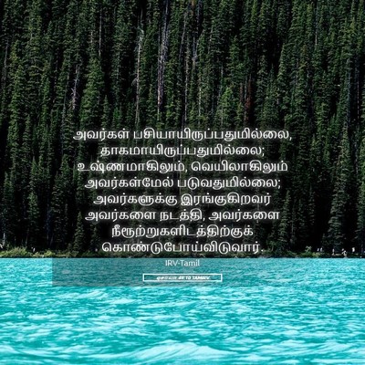 Picture 05 - ஏசாயா 49:10 TAMIRV - அவர்கள் - Bible Verse Picture