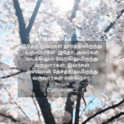 Picture 05 - ஏசாயா 49:12 TAMIRV - இதோ, இவர்கள் - Bible Verse Picture