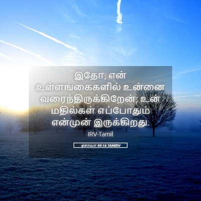 Picture 05 - ஏசாயா 49:16 TAMIRV - இதோ, என் - Bible Verse Picture