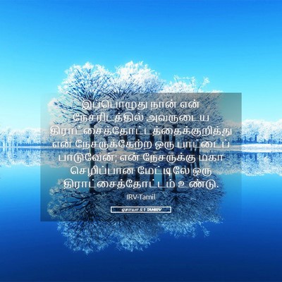 Picture 05 - ஏசாயா 5:1 TAMIRV - இப்பொழுது நான் - Bible Verse Picture