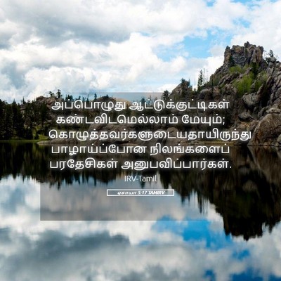 Picture 05 - ஏசாயா 5:17 TAMIRV - அப்பொழுது - Bible Verse Picture