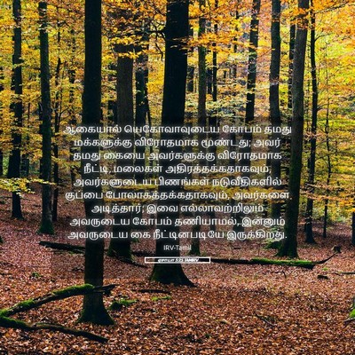 Picture 05 - ஏசாயா 5:25 TAMIRV - ஆகையால் - Bible Verse Picture
