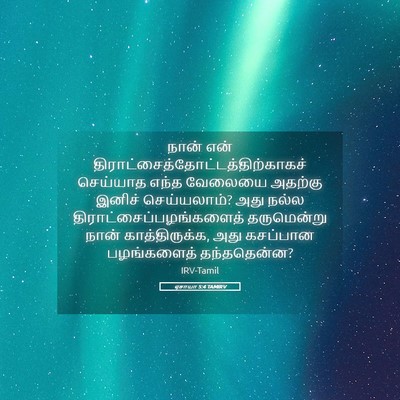 Picture 05 - ஏசாயா 5:4 TAMIRV - நான் என் - Bible Verse Picture