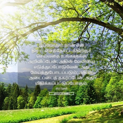 Picture 05 - ஏசாயா 5:5 TAMIRV - இப்போதும் நான் - Bible Verse Picture