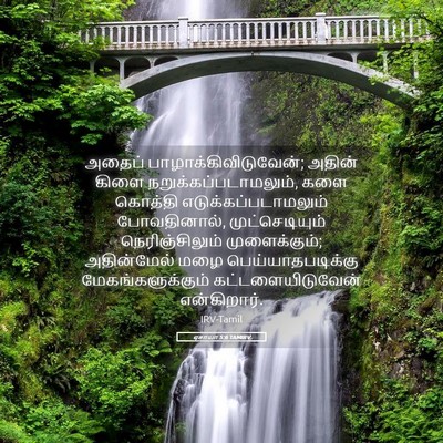 Picture 05 - ஏசாயா 5:6 TAMIRV - அதைப் - Bible Verse Picture