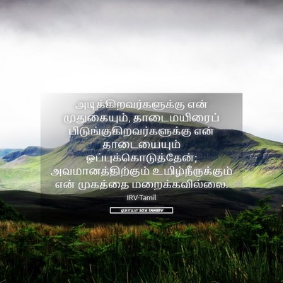 Picture 05 - ஏசாயா 50:6 TAMIRV -  - Bible Verse Picture
