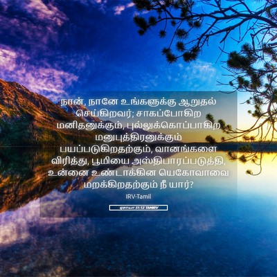 Picture 05 - ஏசாயா 51:12 TAMIRV - நான், நானே - Bible Verse Picture