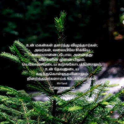 Picture 05 - ஏசாயா 51:20 TAMIRV - உன் மகன்கள் - Bible Verse Picture