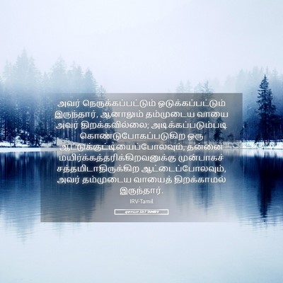 Picture 05 - ஏசாயா 53:7 TAMIRV - அவர் - Bible Verse Picture