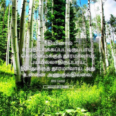 Picture 05 - ஏசாயா 54:14 TAMIRV - நீதியினால் - Bible Verse Picture