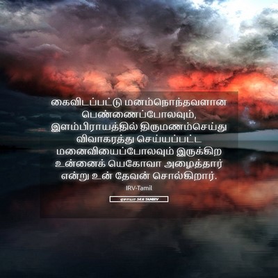 Picture 05 - ஏசாயா 54:6 TAMIRV - கைவிடப்பட்டு - Bible Verse Picture