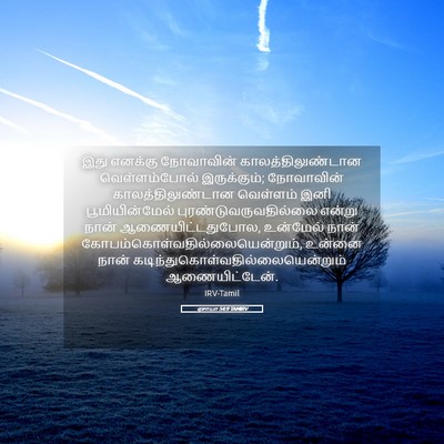 Picture 05 - ஏசாயா 54:9 TAMIRV - இது எனக்கு - Bible Verse Picture