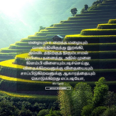 Picture 05 - ஏசாயா 55:10 TAMIRV - மழையும் உறைந்த - Bible Verse Picture