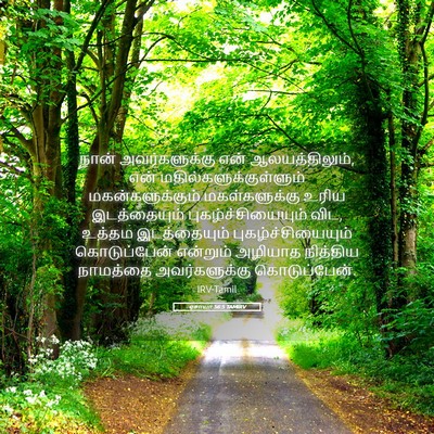 Picture 05 - ஏசாயா 56:5 TAMIRV - நான் அவர்களுக்கு - Bible Verse Picture
