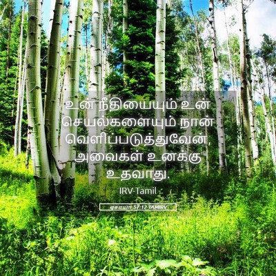 Picture 05 - ஏசாயா 57:12 TAMIRV - உன் நீதியையும் - Bible Verse Picture