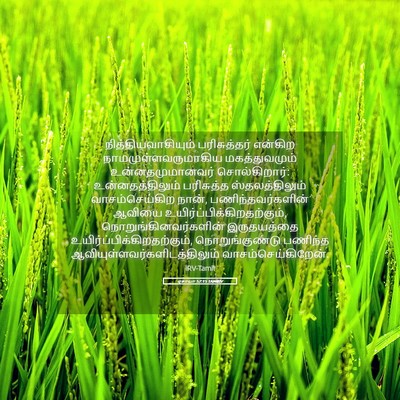 Picture 05 - ஏசாயா 57:15 TAMIRV - நித்தியவாசியும் - Bible Verse Picture