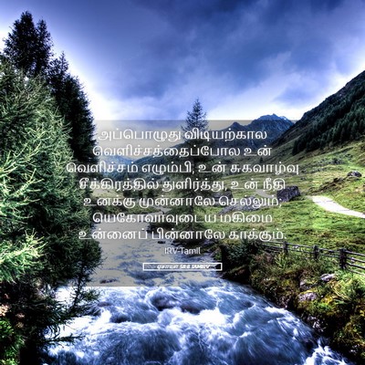 Picture 05 - ஏசாயா 58:8 TAMIRV - அப்பொழுது - Bible Verse Picture
