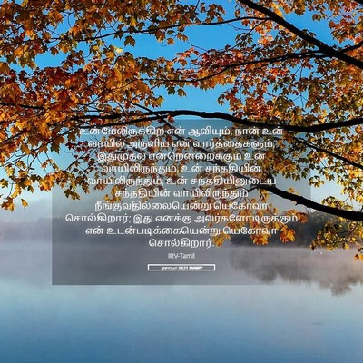 Picture 05 - ஏசாயா 59:21 TAMIRV - உன்மேலிருக்கிற - Bible Verse Picture