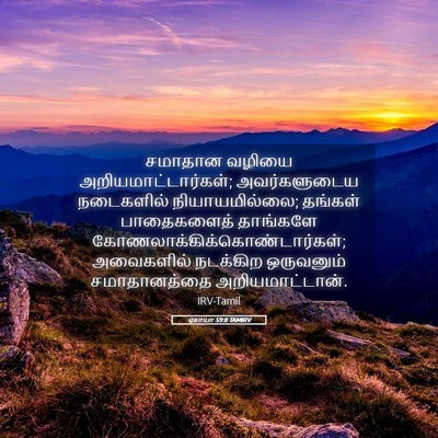 Picture 05 - ஏசாயா 59:8 TAMIRV - சமாதான வழியை - Bible Verse Picture