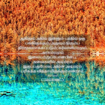 Picture 05 - ஏசாயா 6:13 TAMIRV - ஆகிலும் அதில் - Bible Verse Picture