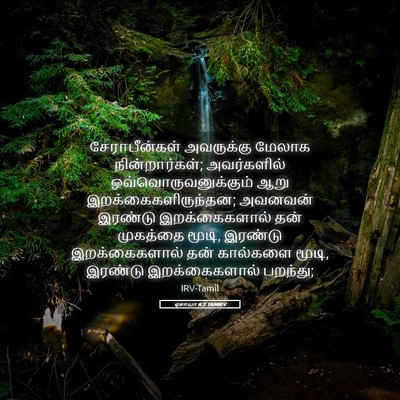 Picture 05 - ஏசாயா 6:2 TAMIRV - சேராபீன்கள் - Bible Verse Picture