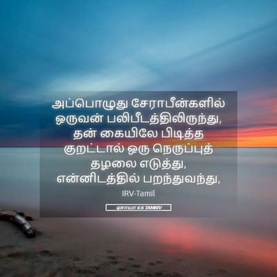 Picture 05 - ஏசாயா 6:6 TAMIRV - அப்பொழுது - Bible Verse Picture