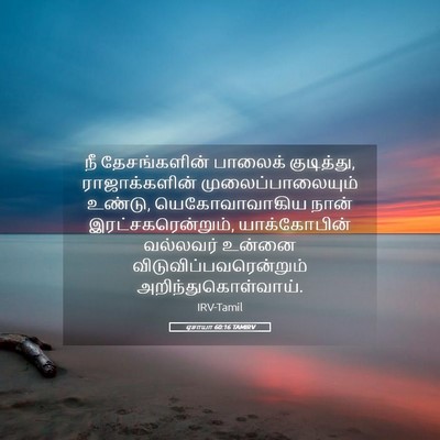 Picture 05 - ஏசாயா 60:16 TAMIRV - நீ தேசங்களின் - Bible Verse Picture