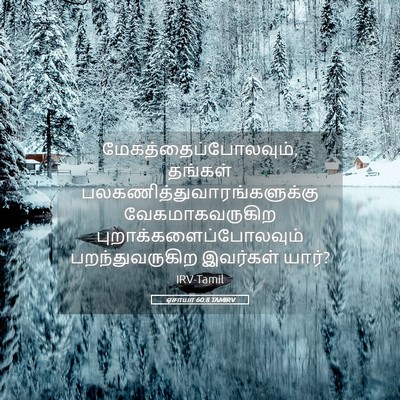 Picture 05 - ஏசாயா 60:8 TAMIRV - மேகத்தைப்போலவும், - Bible Verse Picture