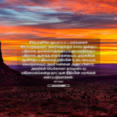 Picture 05 - ஏசாயா 61:3 TAMIRV - சீயோனிலே - Bible Verse Picture