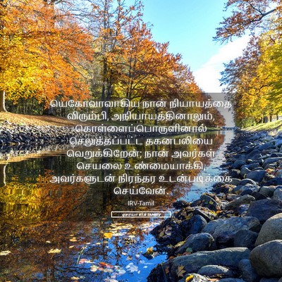 Picture 05 - ஏசாயா 61:8 TAMIRV - யெகோவாவாகிய நான் - Bible Verse Picture