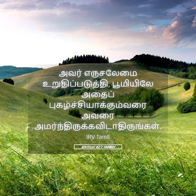Picture 05 - ஏசாயா 62:7 TAMIRV - அவர் எருசலேமை - Bible Verse Picture