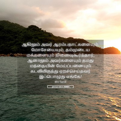 Picture 05 - ஏசாயா 63:11 TAMIRV - ஆகிலும் அவர் - Bible Verse Picture