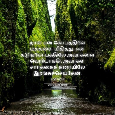 Picture 05 - ஏசாயா 63:6 TAMIRV - நான் என் - Bible Verse Picture