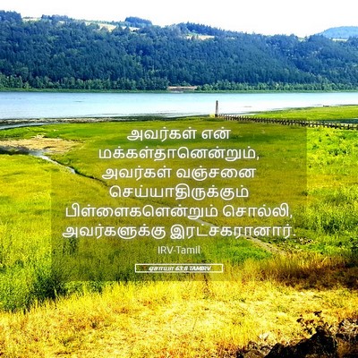 Picture 05 - ஏசாயா 63:8 TAMIRV - அவர்கள் என் - Bible Verse Picture