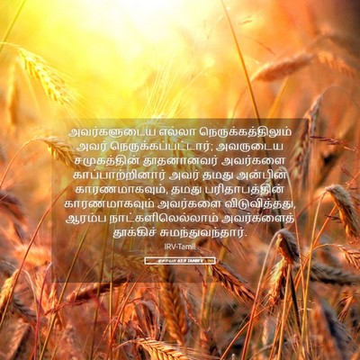 Picture 05 - ஏசாயா 63:9 TAMIRV - அவர்களுடைய எல்லா - Bible Verse Picture