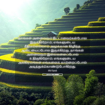 Picture 05 - ஏசாயா 64:6 TAMIRV - நாங்கள் அனைவரும் - Bible Verse Picture