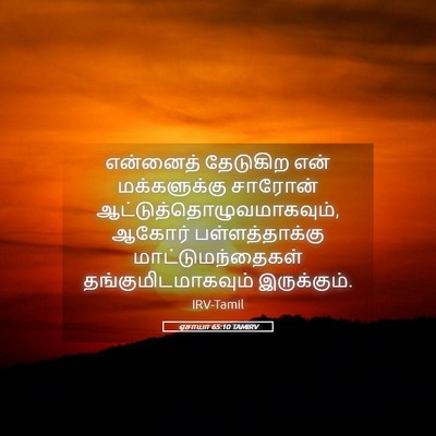 Picture 05 - ஏசாயா 65:10 TAMIRV - என்னைத் தேடுகிற - Bible Verse Picture