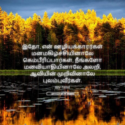 Picture 05 - ஏசாயா 65:14 TAMIRV - இதோ, என் - Bible Verse Picture
