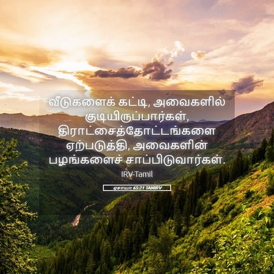 Picture 05 - ஏசாயா 65:21 TAMIRV - வீடுகளைக் கட்டி, - Bible Verse Picture