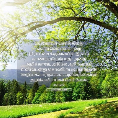 Picture 05 - ஏசாயா 65:8 TAMIRV - யெகோவா சொல்கிறது - Bible Verse Picture