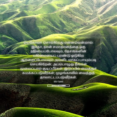 Picture 05 - ஏசாயா 66:12 TAMIRV - யெகோவா சொல்கிறது - Bible Verse Picture