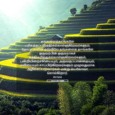Picture 05 - ஏசாயா 66:17 TAMIRV - தங்களைத்தாங்களே - Bible Verse Picture