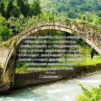 Picture 05 - ஏசாயா 66:24 TAMIRV - அவர்கள் வெளியே - Bible Verse Picture