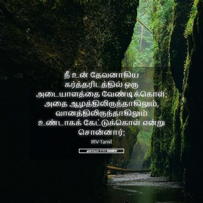 Picture 05 - ஏசாயா 7:11 TAMIRV - நீ உன் தேவனாகிய - Bible Verse Picture