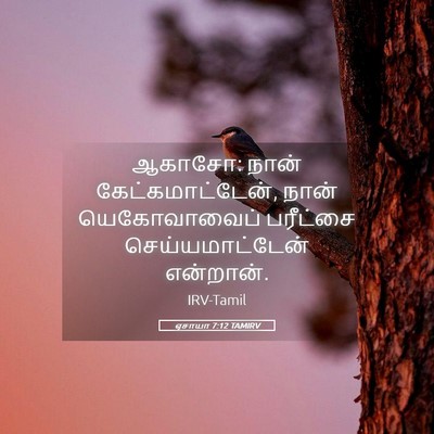 Picture 05 - ஏசாயா 7:12 TAMIRV - ஆகாசோ: நான் - Bible Verse Picture