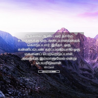 Picture 05 - ஏசாயா 7:14 TAMIRV - ஆதலால் ஆண்டவர் - Bible Verse Picture