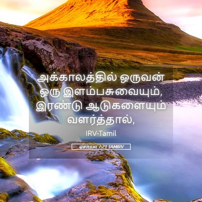 Picture 05 - ஏசாயா 7:21 TAMIRV - அக்காலத்தில் - Bible Verse Picture