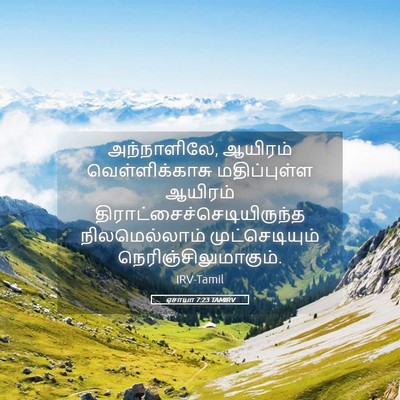 Picture 05 - ஏசாயா 7:23 TAMIRV - அந்நாளிலே, ஆயிரம் - Bible Verse Picture