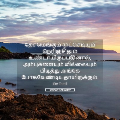 Picture 05 - ஏசாயா 7:24 TAMIRV - தேசமெங்கும் - Bible Verse Picture