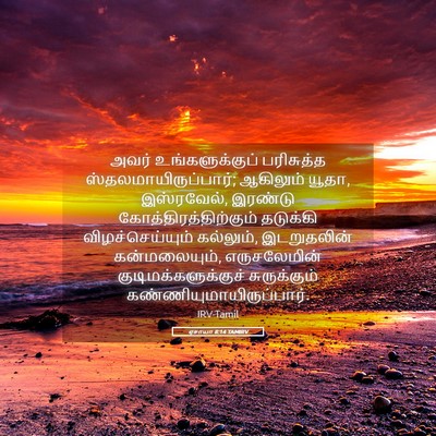 Picture 05 - ஏசாயா 8:14 TAMIRV - அவர் உங்களுக்குப் - Bible Verse Picture